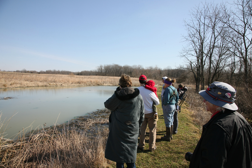 Full Size Image = 4660 K