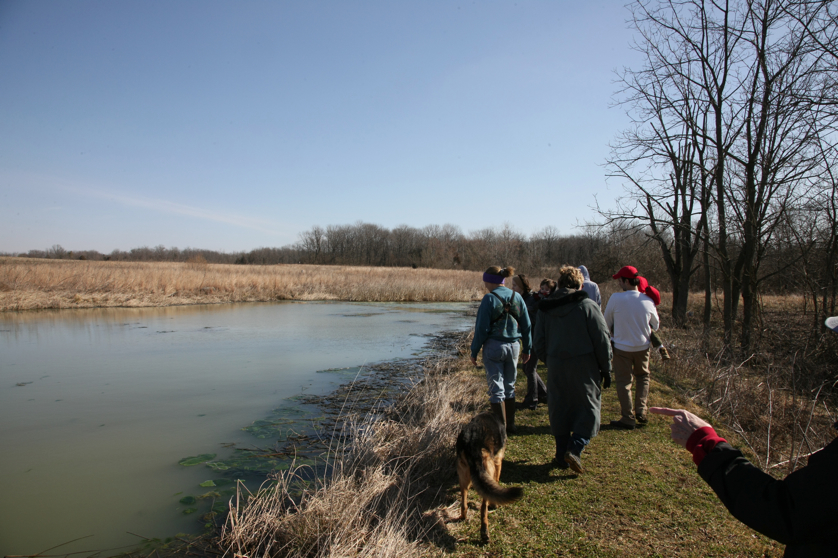 Full Size Image = 4663 K