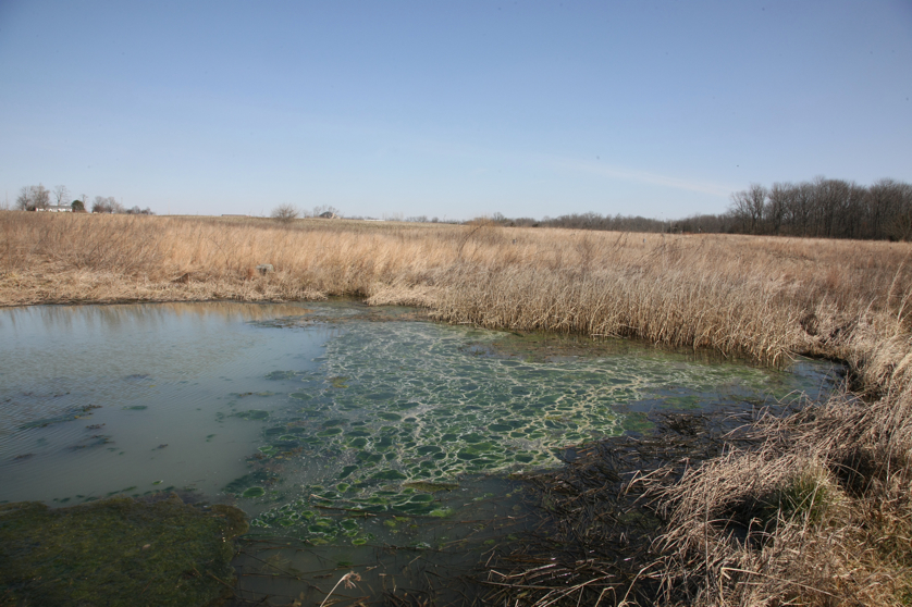 Full Size Image = 4774 K