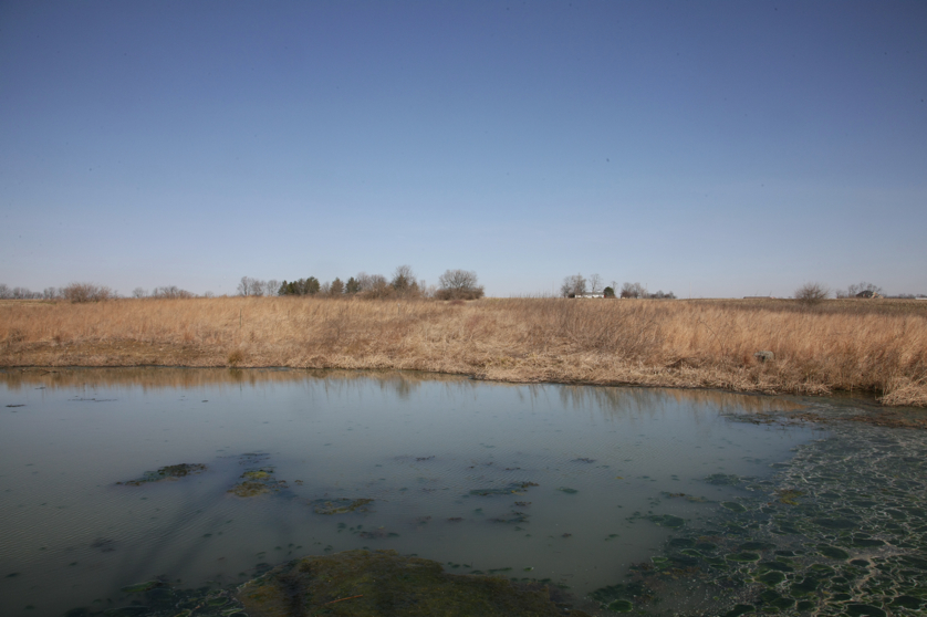 Full Size Image = 3371 K