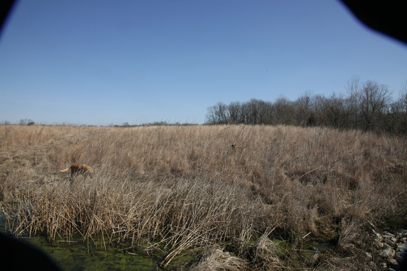 Full Size Image = 5065 K