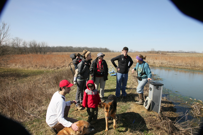 Full Size Image = 4867 K