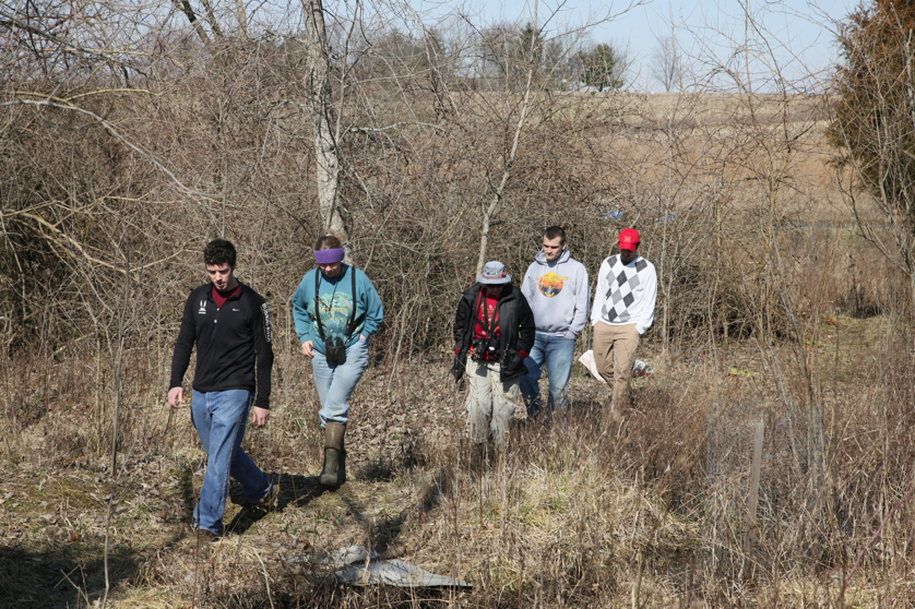 Full Size Image = 7503 K