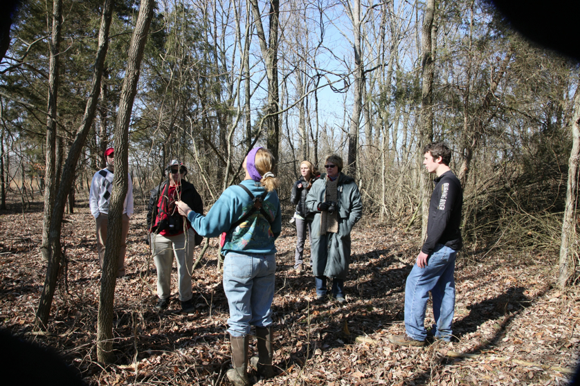 Full Size Image = 7747 K