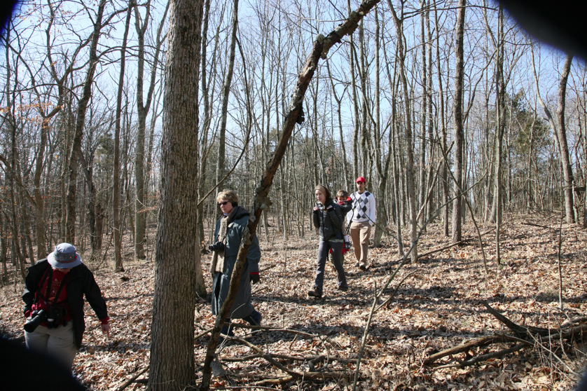 Full Size Image = 8260 K