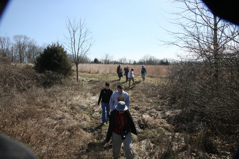 Full Size Image = 6489 K