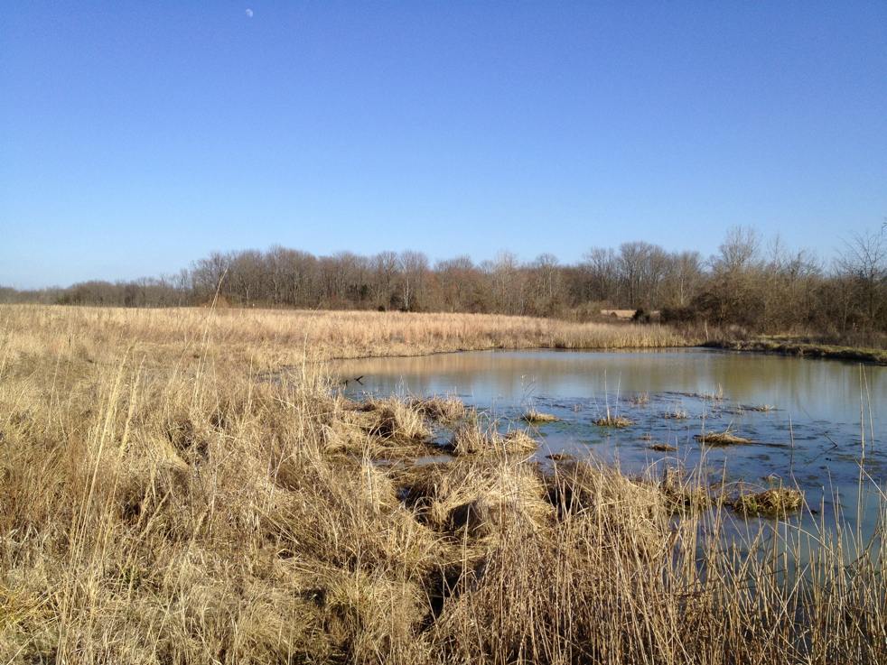 Full Size Image = 7714 K