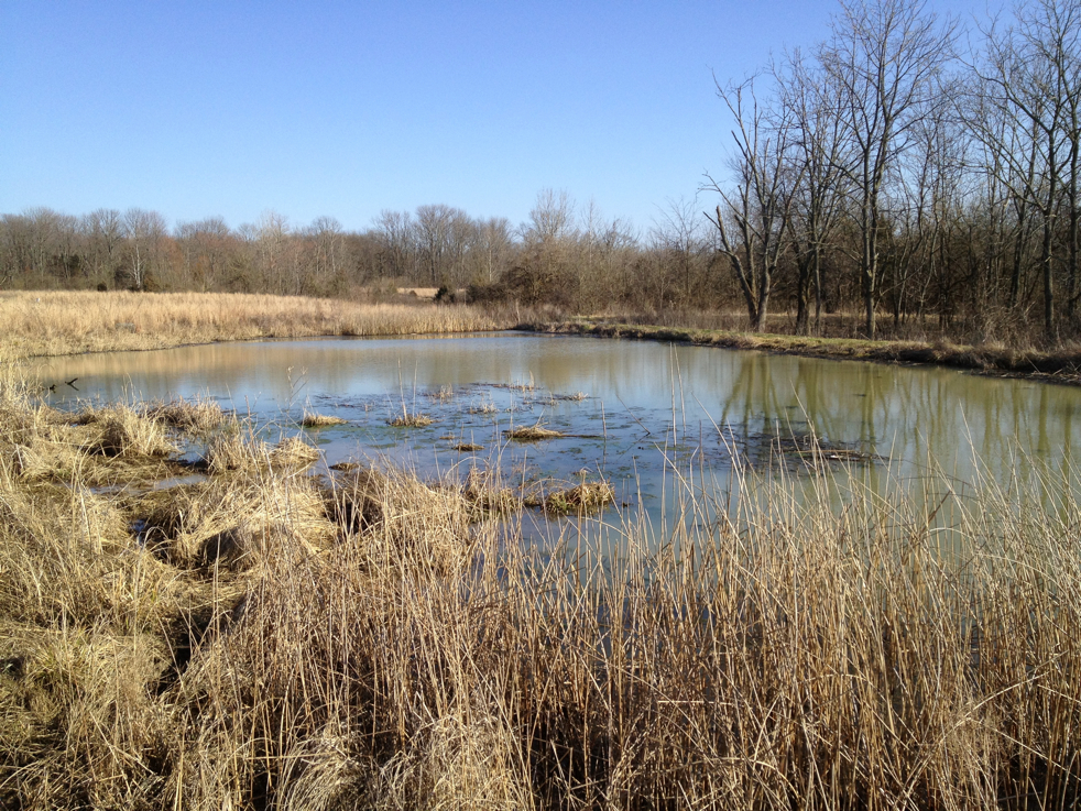 Full Size Image = 9139 K