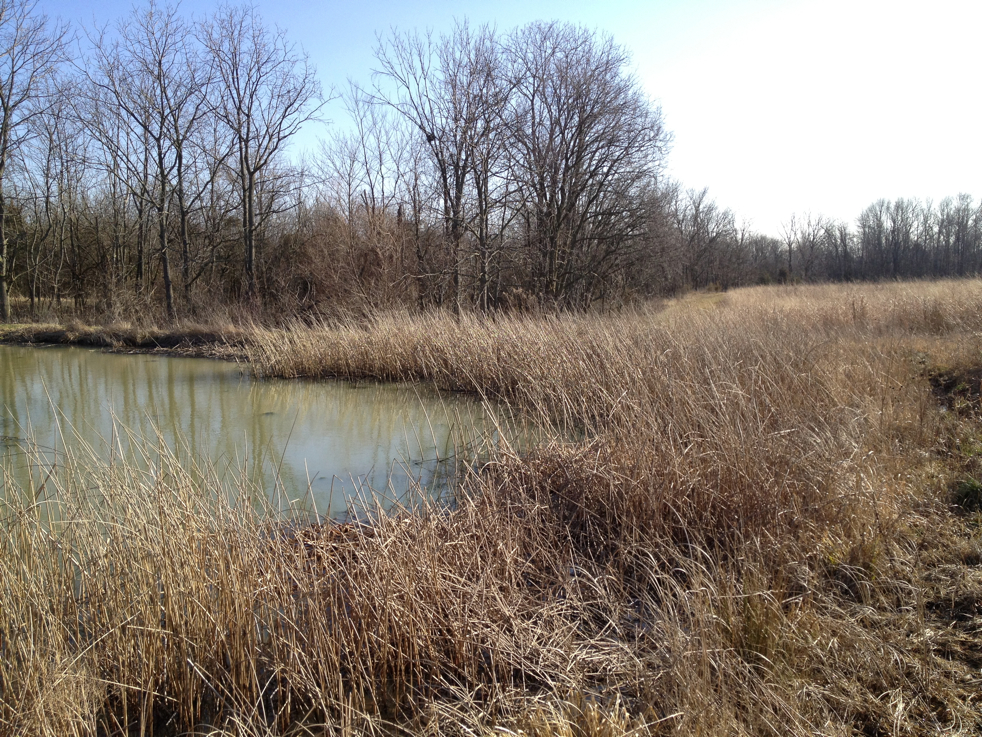 Full Size Image = 9048 K