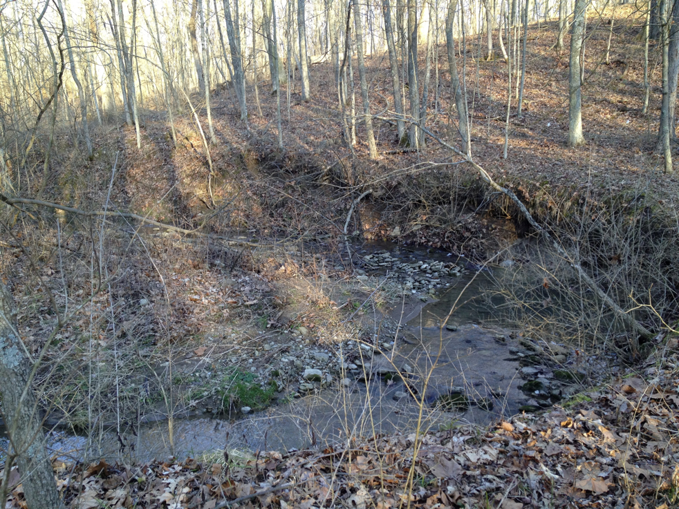 Full Size Image = 9190 K