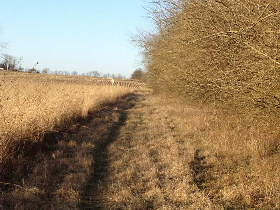 Full Size Image = 4471 K