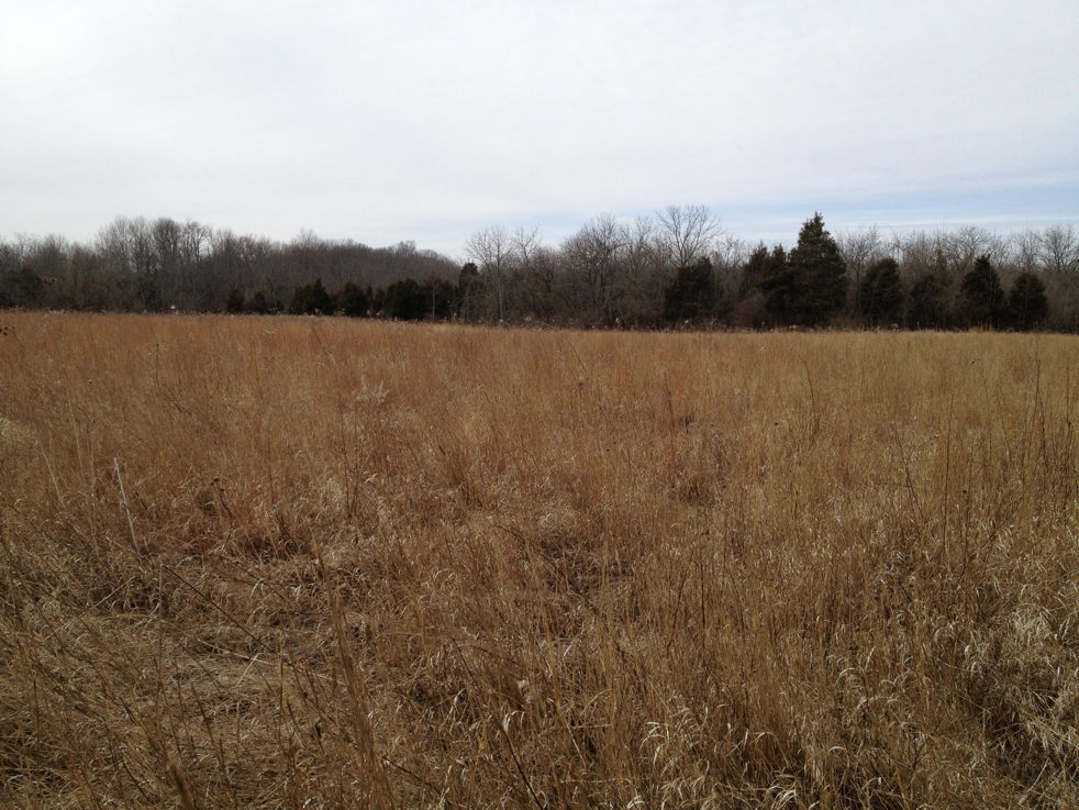 Full Size Image = 6114 K