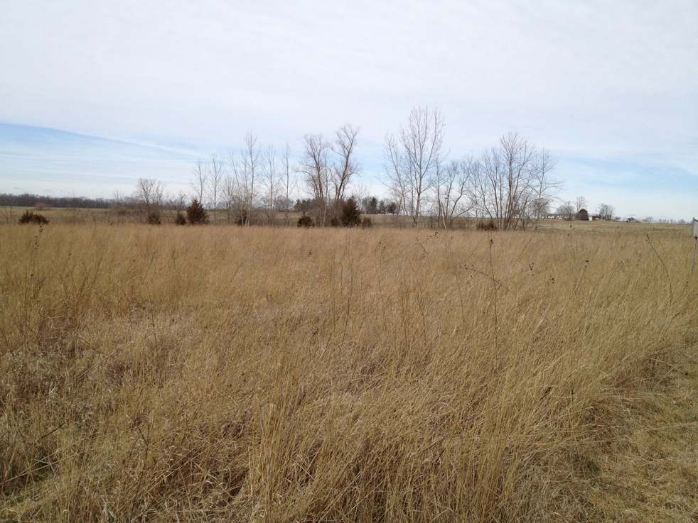 Full Size Image = 6286 K