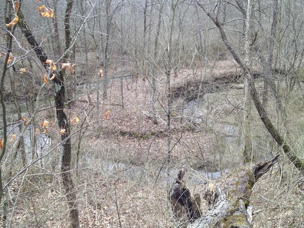 Full Size Image = 9229 K