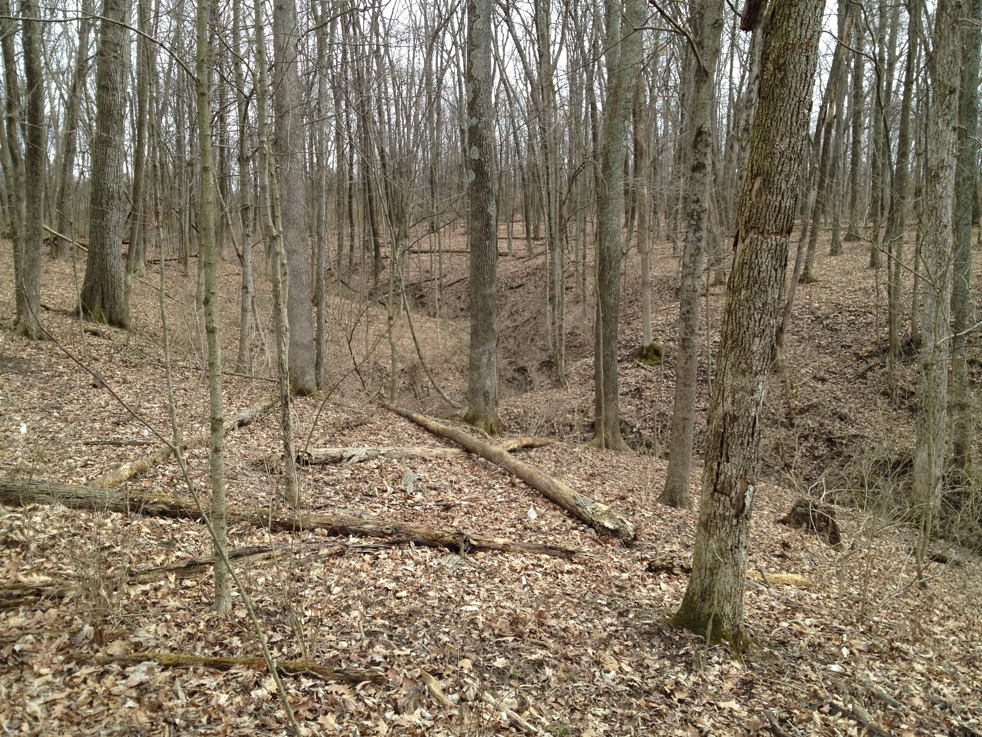 Full Size Image = 9111 K