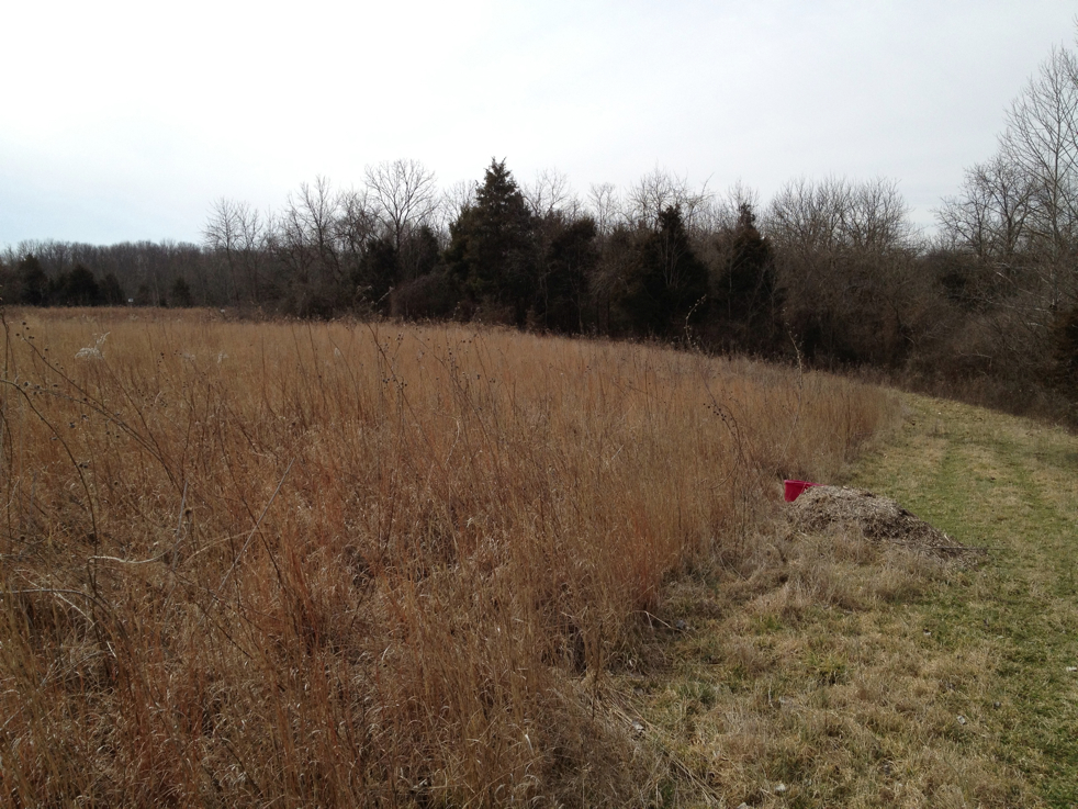 Full Size Image = 5896 K