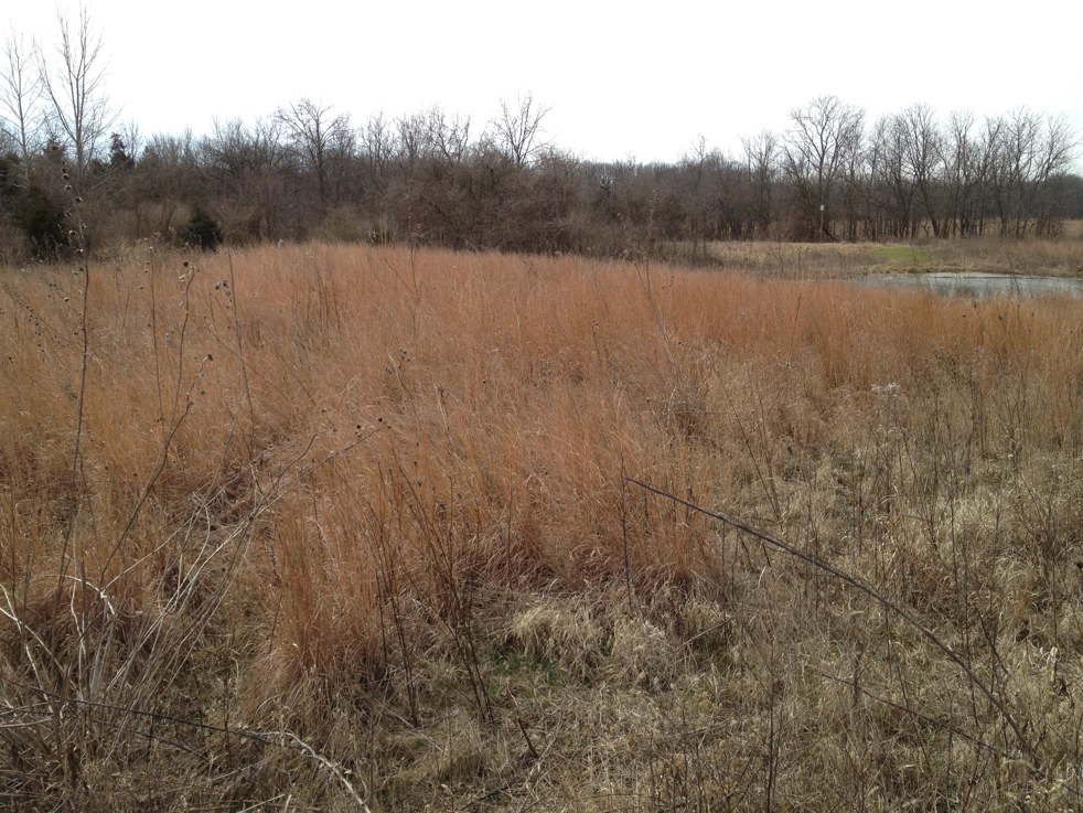 Full Size Image = 6537 K