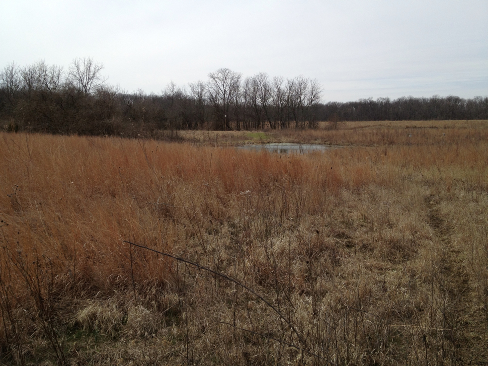 Full Size Image = 5825 K