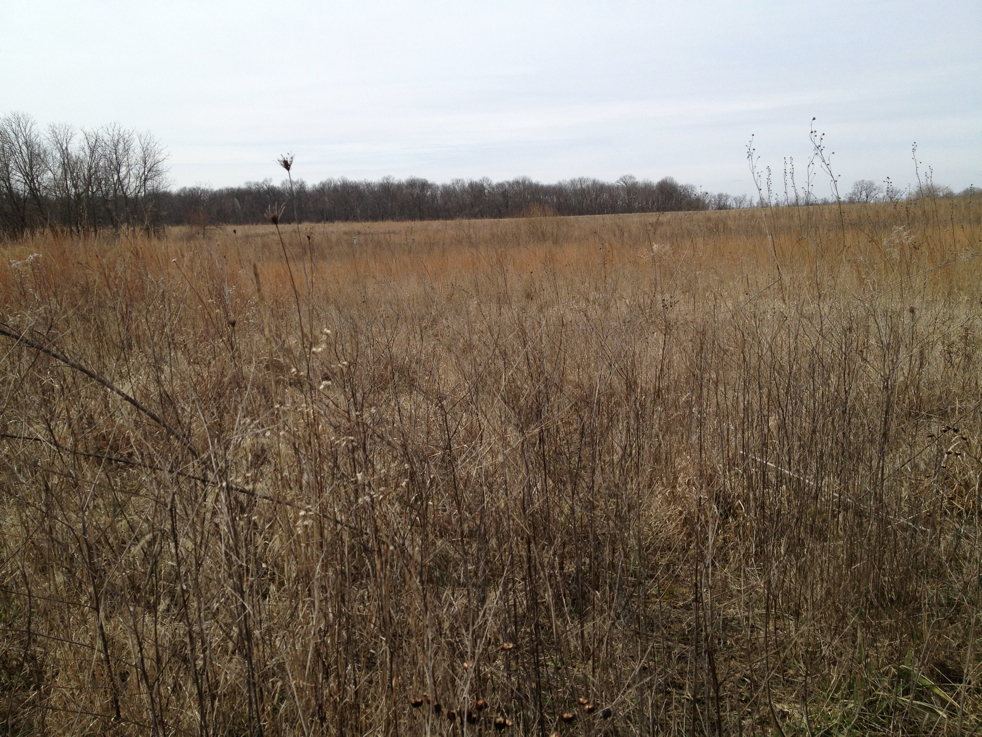 Full Size Image = 6477 K