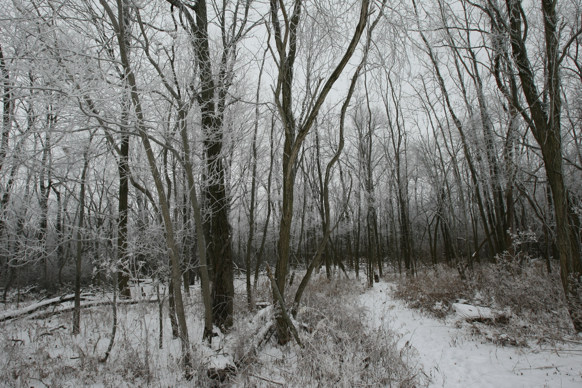 Full Size Image = 3260 K