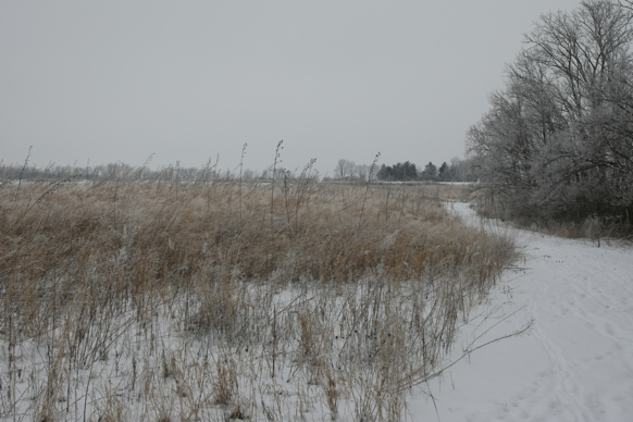 Full Size Image = 2000 K