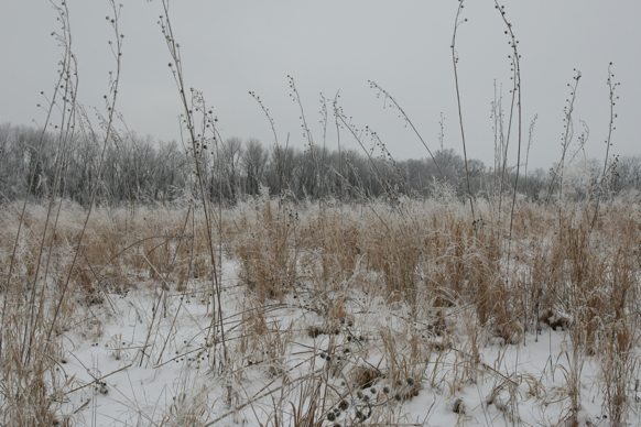 Full Size Image = 2350 K