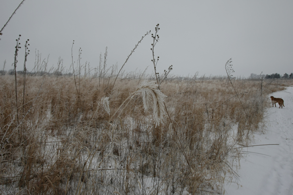 Full Size Image = 2002 K