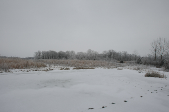 Full Size Image = 1146 K