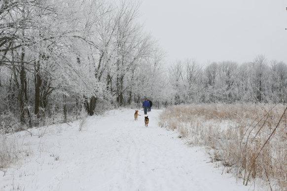 Full Size Image = 2197 K