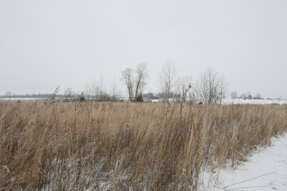 Full Size Image = 2002 K