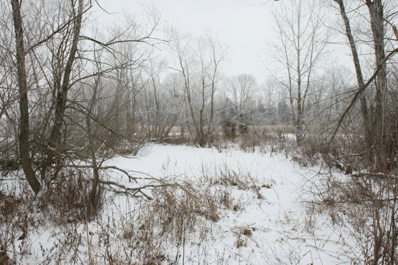 Full Size Image = 3364 K