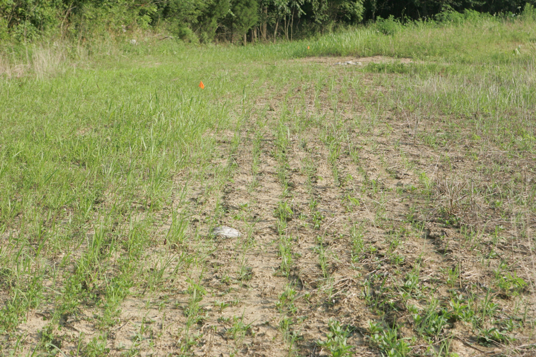 Full Size Image = 1699 K