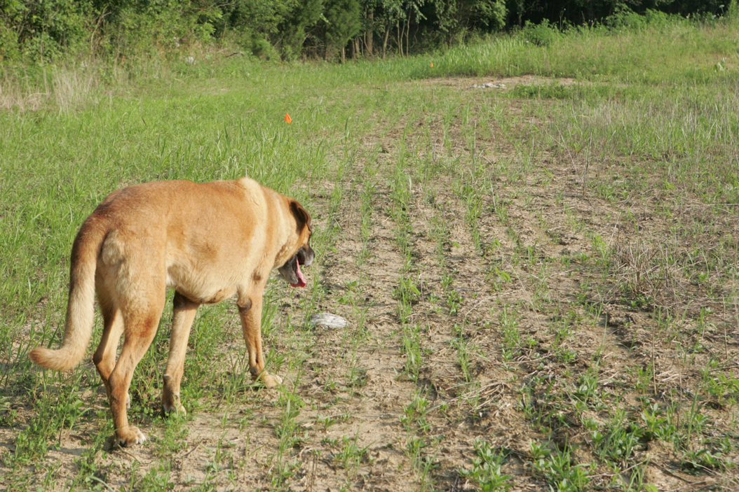 Full Size Image = 1602 K