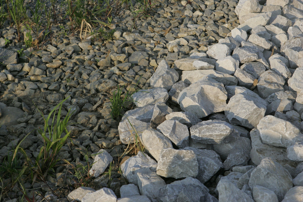 Full Size Image = 1210 K