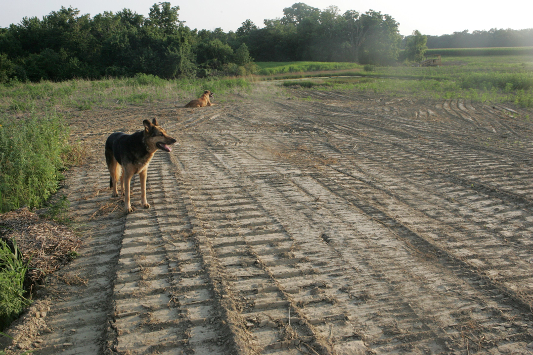 Full Size Image = 1454 K