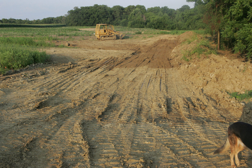 Full Size Image = 1457 K