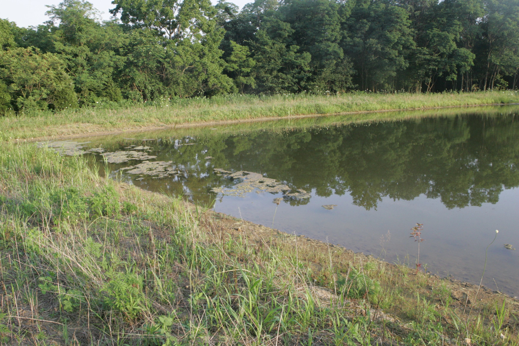 Full Size Image = 1533 K