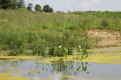 Full Size Image = 1243 K