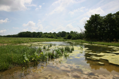 Full Size Image = 953 K