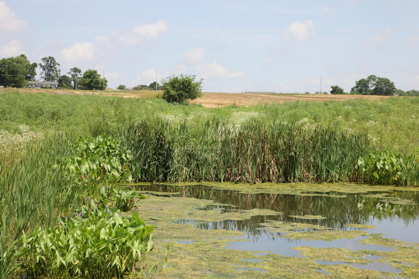 Full Size Image = 1161 K