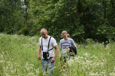 Full Size Image = 1611 K