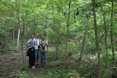 Full Size Image = 1961 K