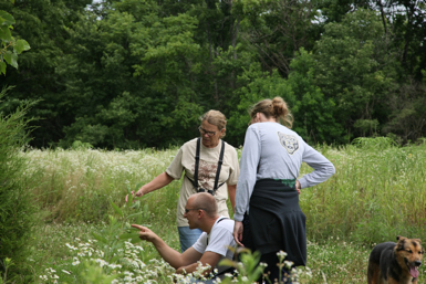 Full Size Image = 1300 K