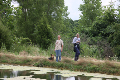 Full Size Image = 1742 K