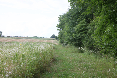 Full Size Image = 1430 K