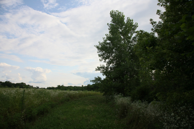 Full Size Image = 1088 K