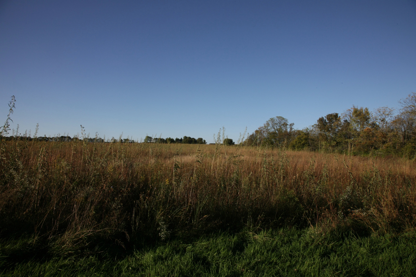 Full Size Image = 1389 K