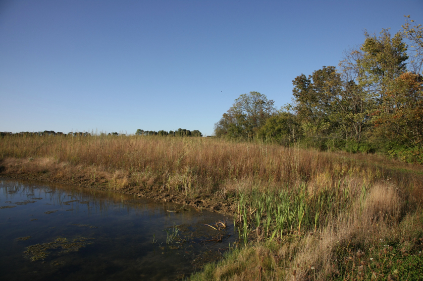 Full Size Image = 1638 K