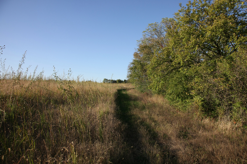 Full Size Image = 2109 K