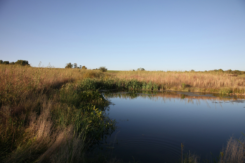 Full Size Image = 1179 K